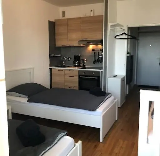 Zentrales Studio-apartment In Linz, Arbeiter-hit Appartement *