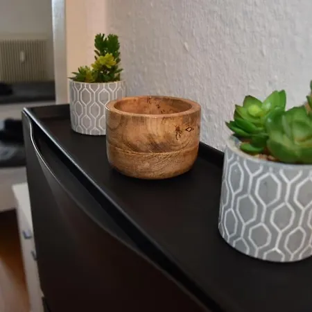 Apartment Zentrales Studio-apartment In Linz, Arbeiter-hit